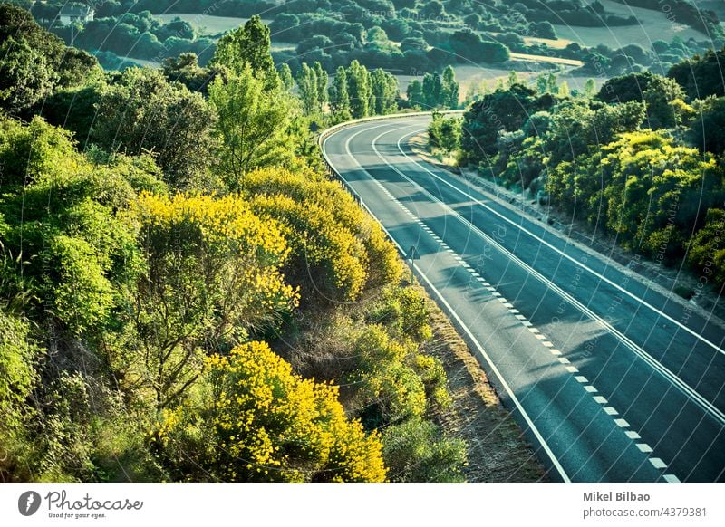 View of a road and trees  in a rural area. aerial view journey above asphalt field green nature outdoors countryside landscape direction farming path scenery