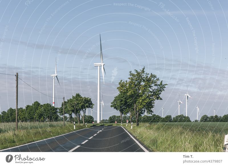 an avenue with windmills Brandenburg wind power Avenue Landscape Tree Exterior shot Colour photo Deserted Environment Day Street road Traffic infrastructure
