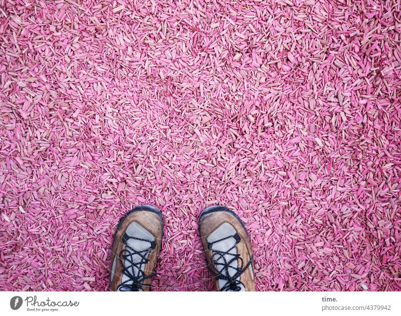 briefly occupied | Museum Garden bark mulch Footwear Pink Wood shavings Land cover small parts structure Pattern Surface Many Bird's-eye view