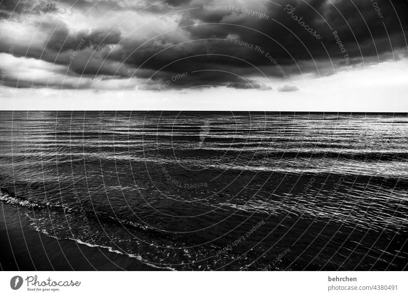 Strong Dramatic Usedom Black & white photo Freedom wide Wanderlust Longing Idyll Water Waves Nature Clouds Sky Baltic Sea Ocean Beach Landscape coast