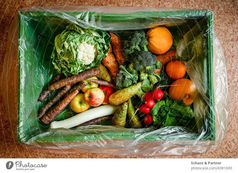 Organic box with salad, fruit and vegetables organic box Lettuce Vegetable vegetarian vegan Nutrition organic farming Fresh Food salubriously Organic produce