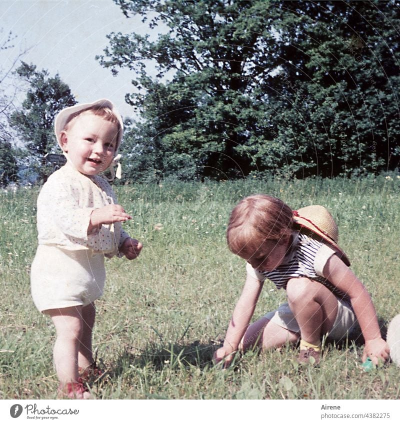 pick flowers children Retro '60s Toddler Baby Meadow Laughter Joy Nature love for nature old photo Analog Summer untroubled Infancy Happy Child Happiness Cute