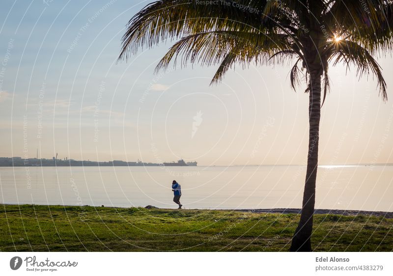 Healthy live style represented a man running in the beach early in the morning, the sea is on calm, the rays of the sun are passing through a palm leafs in the foreground, the atmosphere is golden and quiet.