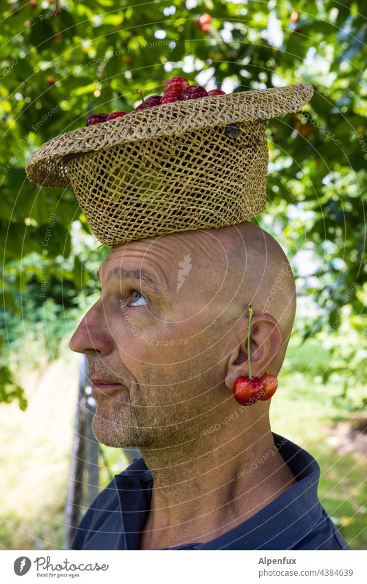 Cherry man with cherry earring | Parktour HH 21 Man Only one man portrait cherries Face of a man Earring 1 Person Adults Human being eat cherries Facial hair