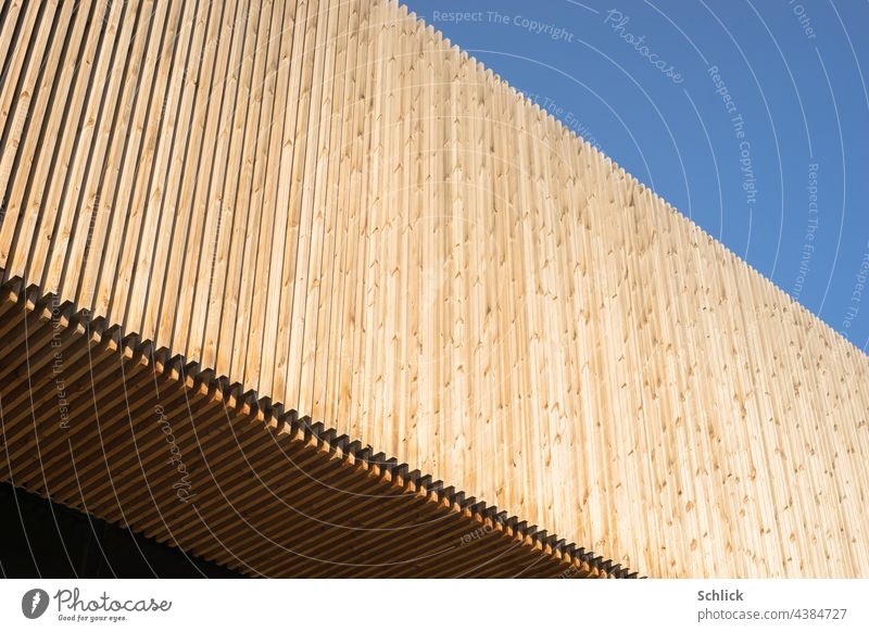 Modern facade and ceiling made of larch wood slats in the outdoor area Facade Wood Larch perform Architecture on the outside Deserted Copy Space Diagonal Sky