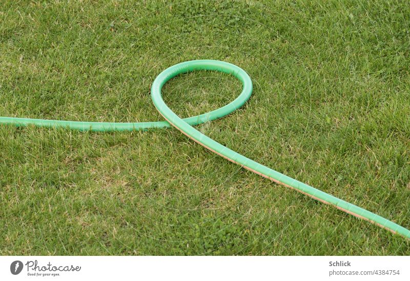 Water trap green garden hose forms a loop on the lawn Water hose noose Lawn Grass Hose Green Garden soak water scarcity Garden hose Gardening Irrigation Summer