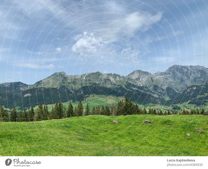 Alpine meadows with scattered houses and farms in Switzerland. There are Toggenburg mountains on the background. alpine mountains scatterd green grass grazing
