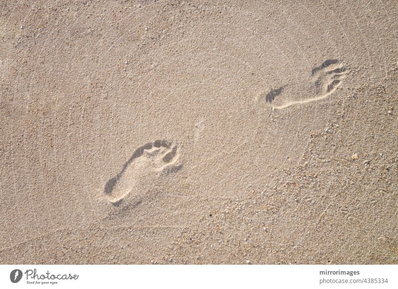 bare foot prints in the sand alone background barefoot beach beach steps coast coastline embossed footprint footstep footsteps freedom heel holiday human