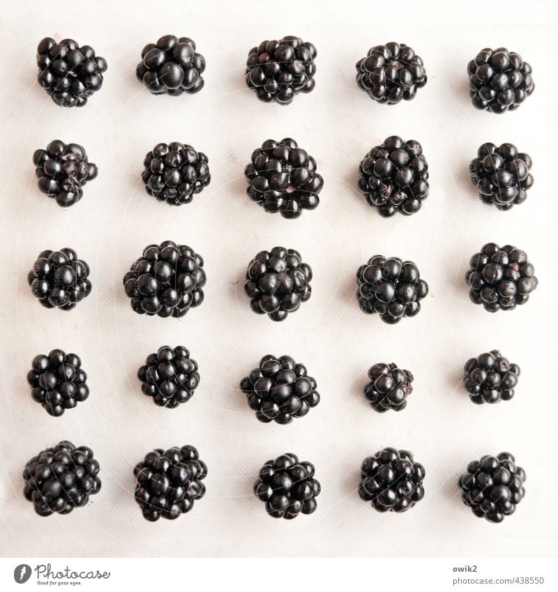 fruit salad Nature Blackberry soft fruit aggregate fruits Lie Esthetic Authentic Simple Fresh Healthy Together Small Natural Juicy Sweet Many White Orderliness