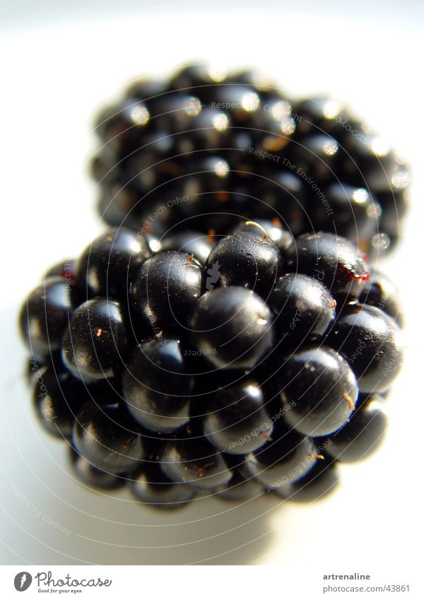 Berry-strong! Macro (Extreme close-up) Black Healthy Fruit tabletop In pairs