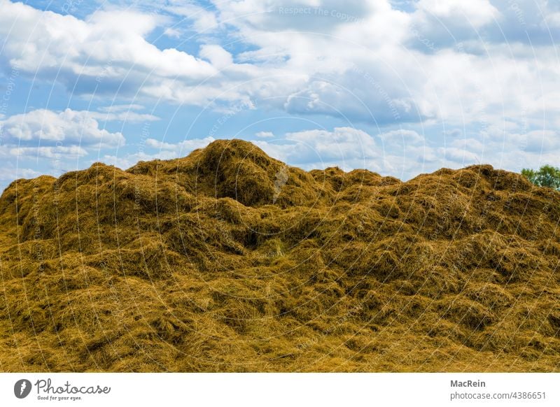 Haystack in a field, Lower Saxony, Germany acre Day Exterior shot Farm Sky Nature Agriculture Agricultural product Summer Cattle feed Clouds Shredded