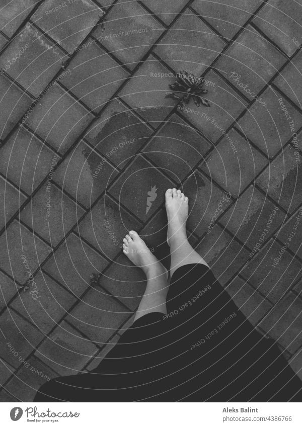 Barefoot in the rain with shadow from umbrella in black and white Rain Legs Shadow Exterior shot black-and-white Monochrome Black & white photo Summer