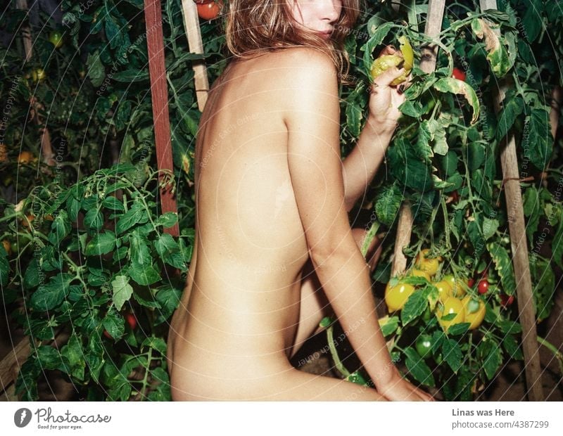 A wild and naked girl just sneaked into a greenhouse and now she’s squashing tomatoes with her bare hands. A nude woman with tomatoes is a sinful image full of lust. Her wilderness and summer hotness is what you can feel while looking at the picture.