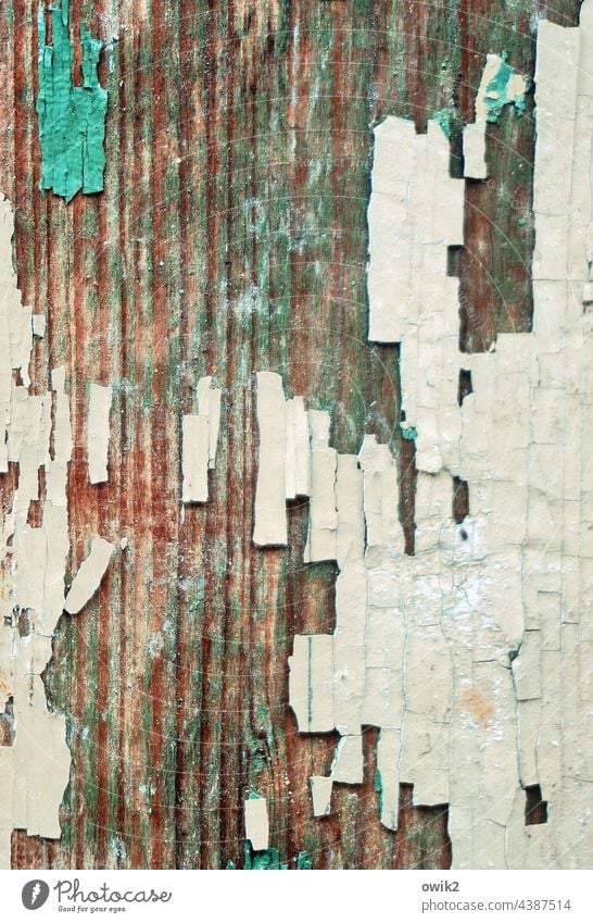 secession Colour Wood Old Ravages of time Derelict Tracks Paint traces Flake off Transience Abstract Detail Crack & Rip & Tear Close-up Subdued colour Poverty