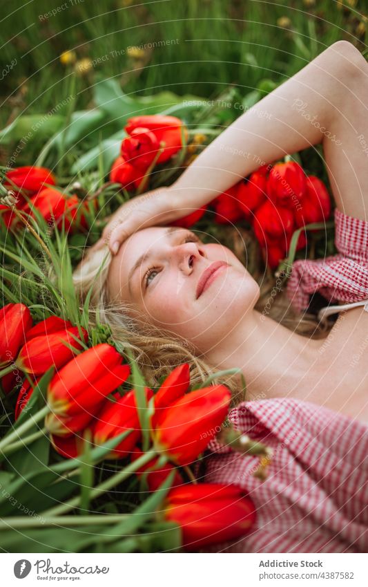 Happy woman lying in meadow with red tulips bloom field flower bunch smile blossom female nature happy floral tender feminine carefree charming bright summer