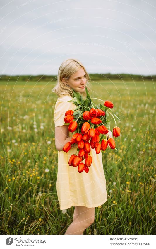 Gentle woman with bouquet of red tulips in field flower summer bunch meadow tender smile female content bloom blossom romantic young nature countryside flora