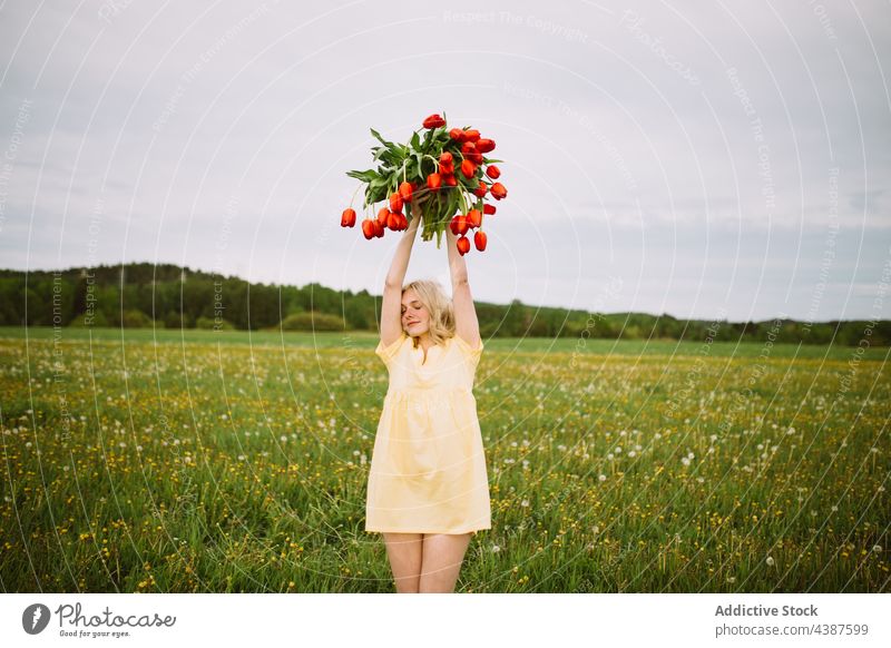 Tender woman with bunch of tulips in field flower bouquet floral meadow summer smile female happy bloom blossom nature fresh tender red color glad joy delight