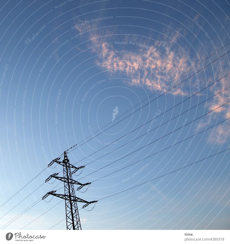 Lifelines #146 Electricity pylon transmission line Sky Clouds Evening evening light Energy Management power supply Parallel lifelines Cable birds Sit Break rest