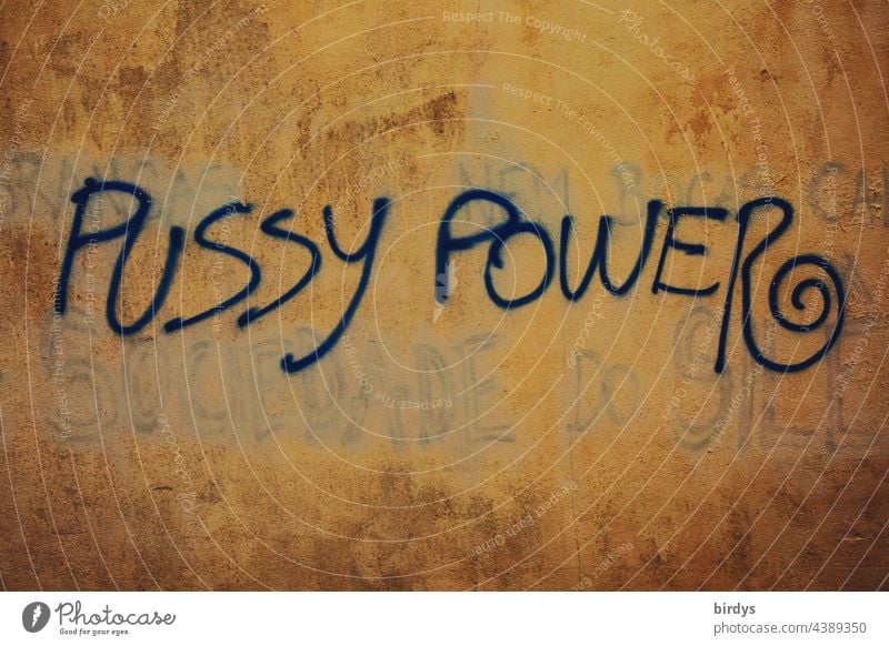 Pussy Power, graffiti on a house wall Graffiti Girl power Feminism Symbols and metaphors Emancipation equal rights Society Characters feminist movement jargon