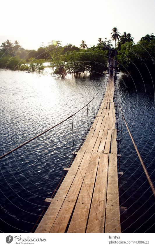 Simple suspension bridge for pedestrians over a river in the tropics Suspension bridge Pedestrian rope bridge River Tropical Virgin forest Wooden boards
