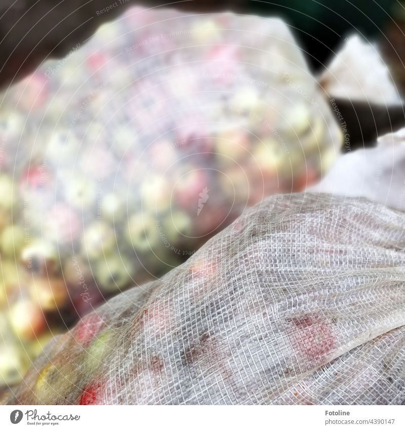 Rich harvest - sacks full of apples are waiting to go into the juice press. Plant Nature Exterior shot Colour photo Deserted Day Green Shallow depth of field