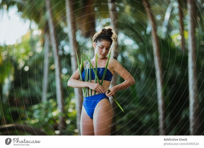 Woman with palm leaves on beach woman tropical leaf bikini outfit summer nature vacation travel holiday paradise female young exotic tourism flora style foliage
