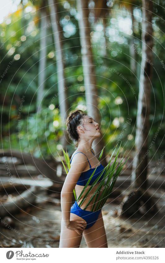 Woman with palm leaves on beach woman tropical leaf bikini outfit summer nature vacation travel holiday paradise design pose model female young exotic tourism