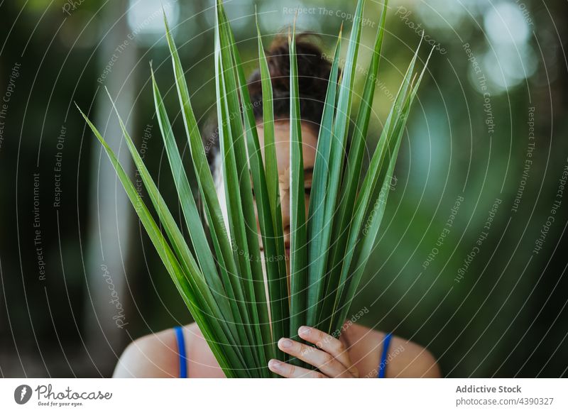Woman covering face with palm tree leaves woman leaf cover face summer plant nature green tropical female guanacaste uvita costa rica serene peaceful exotic