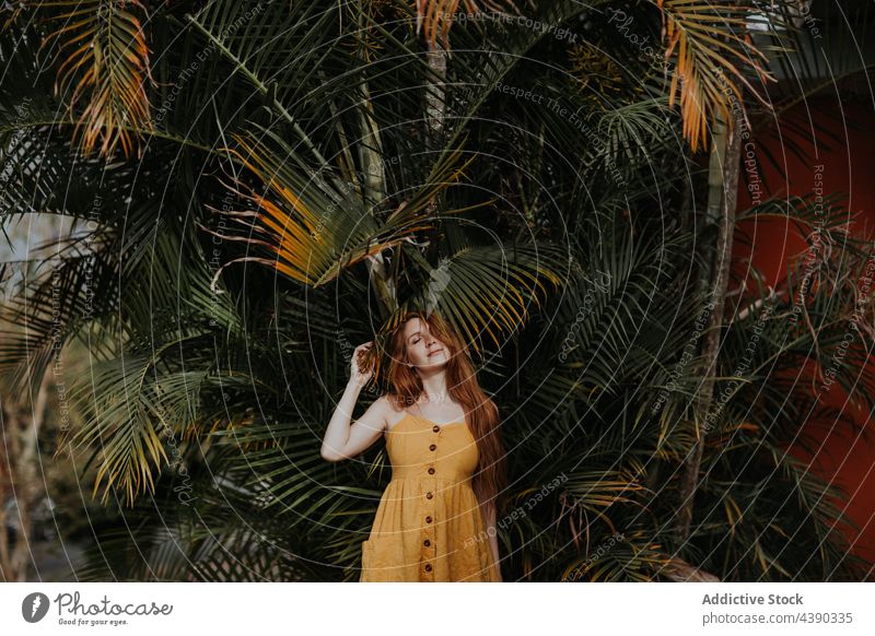Tender redhead woman near palm tree in garden tropical park exotic summer ginger carefree female costa rica dreamy dress lush appearance style enjoy nature