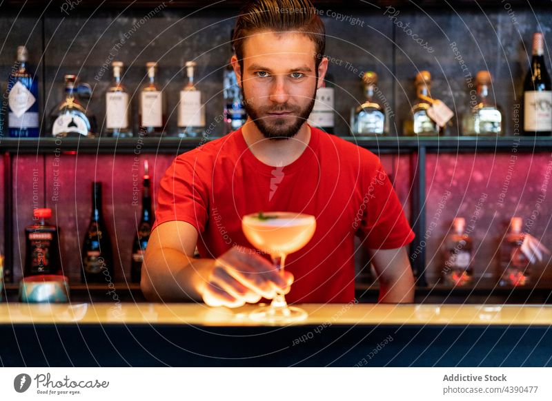Bartender serving cocktail in glass on counter in bar bartender drink serve barman barkeeper alcohol male beverage pub refreshment booze service nightclub
