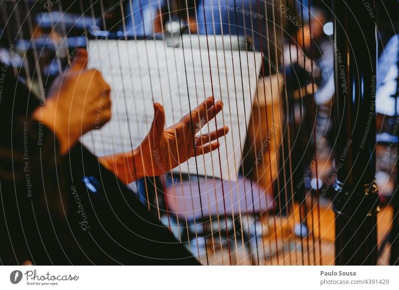 Close up woman playing harp Harp harpa Music String String instrument Wood Concert Musical instrument string Make music Sound Art Detail Colour photo Musician