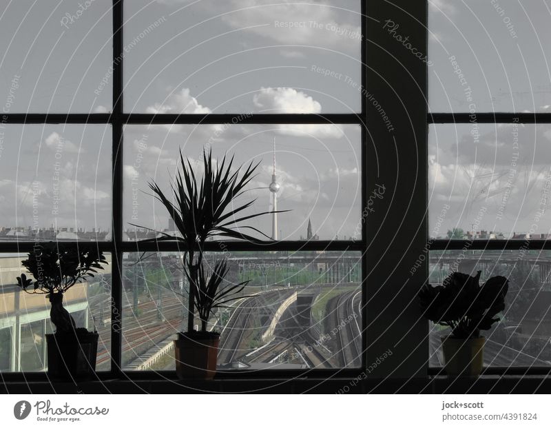 Window overlooking a large city Commuter train station Berlin Panorama (View) Capital city Railroad tracks Traffic infrastructure Silhouette Berlin TV Tower