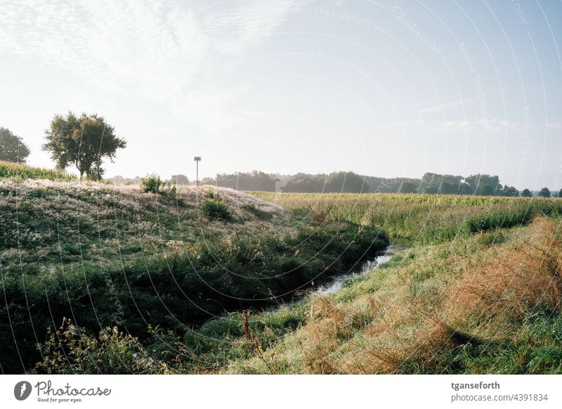 Morning mood at the moat in the morning morning light morning mood morning sun Dig Drainage ditch Preflood channel Vent Schloot Emsland Nature Landscape