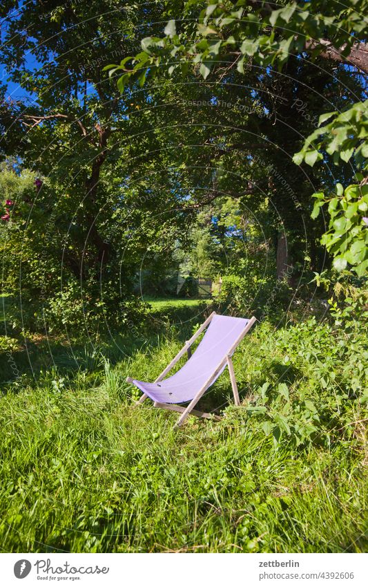 deckchair Branch Tree Relaxation holidays Garden Deserted Nature Plant tranquillity Holiday season Summer Sun trunk shrub Copy Space Depth of field Meadow Twig