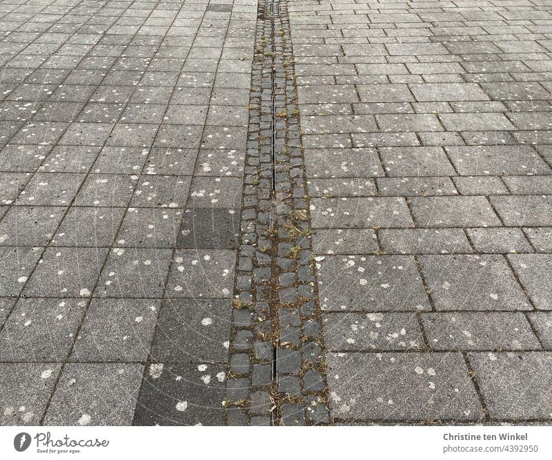 Paving a dreary schoolyard Paving stone paved area Floor covering Gray Structures and shapes soil sealing Rainwater Line Pattern area sealing Seep Deserted