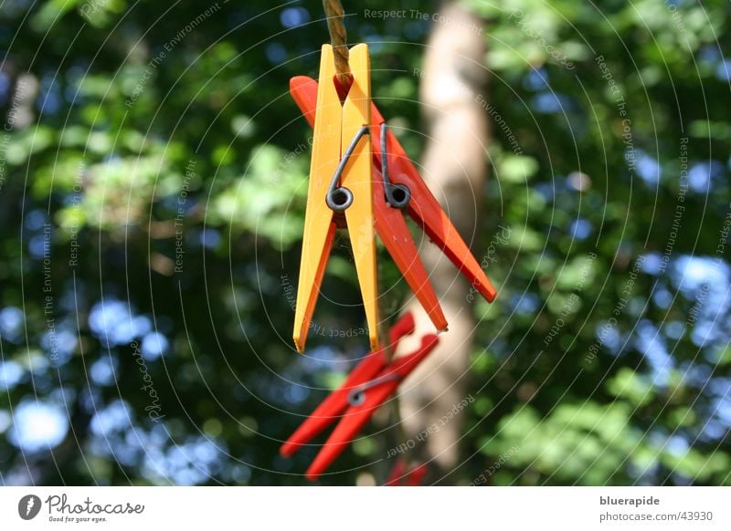 clasped Holder Clothes peg Laundry Yellow Red Multicoloured Background picture Tree Living or residing Rope Orange
