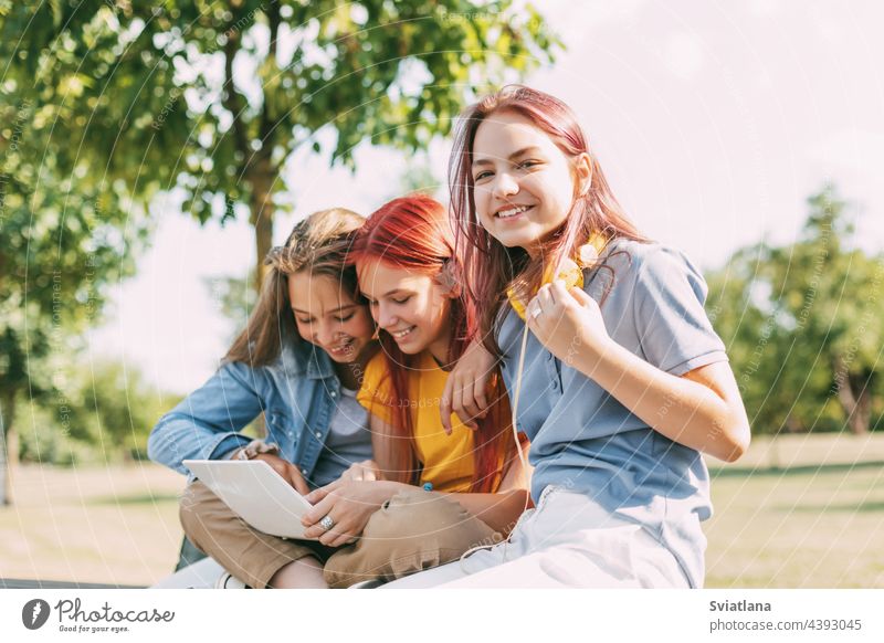 Attractive teenage girls are sitting on a park bench, discussing and smiling. Girlfriends are chatting in the park students laptop friendship education teenager
