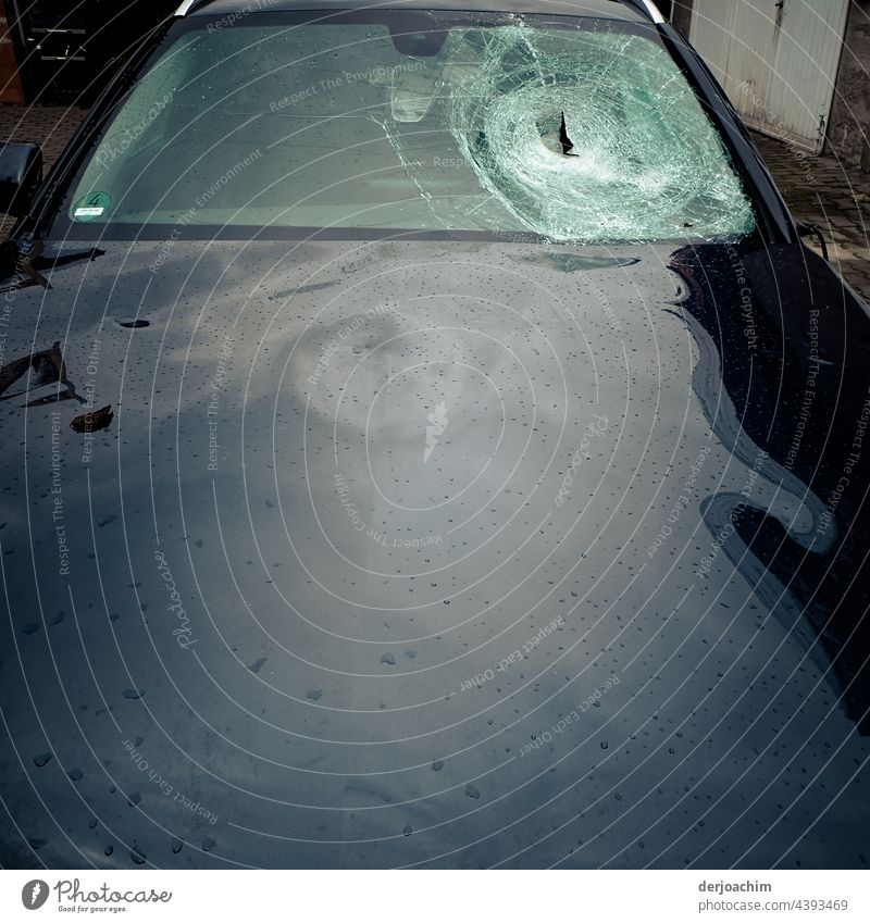 Car pile-up with a large bird. The front driver side, disc has a very large hole. Slice Car window Lake Colour photo Nature Sky Hollow corrupted Day