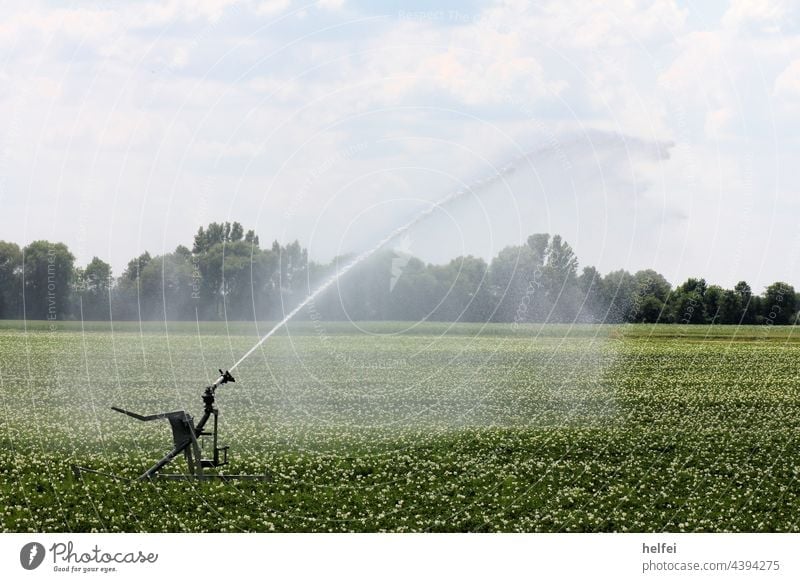 Irrigation of a field in summer with reflection of the water drops Cast fields aridity artificial irrigation ART REGEN Agriculture raindrops Sunbeam Contrast