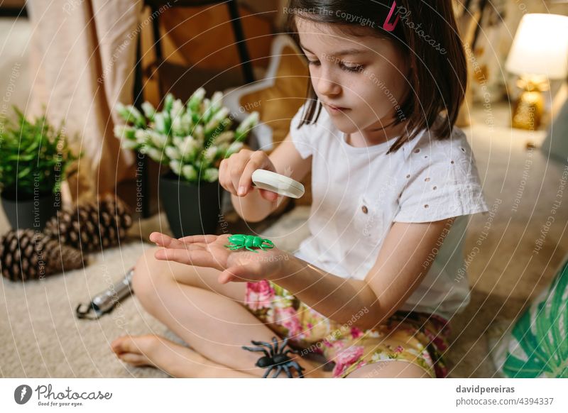 Girl playing observing toy bugs with a magnifying glass girl adorable beetle holding hand closeup tent teepee sitting child education kid examining entomologist