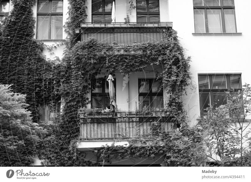 Beautiful old building with green facade and large balconies in the Hackesche Höfe at Hackescher Markt in the capital Berlin, photographed in traditional black and white