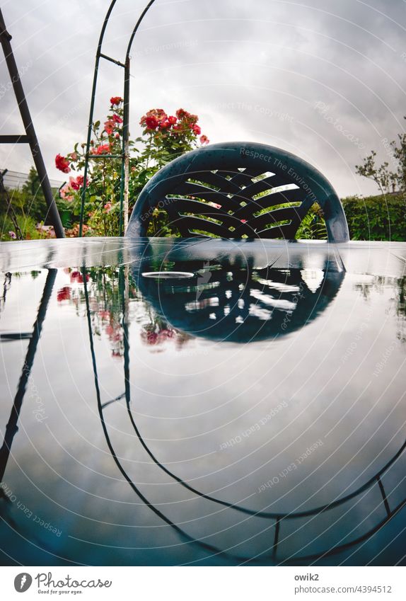 pond landscape Garden plot Table Garden table Wet Puddle Reflection Water reflection Garden chair Plastic back Pérgola Curved Old makeshift Climbing Roses Sky