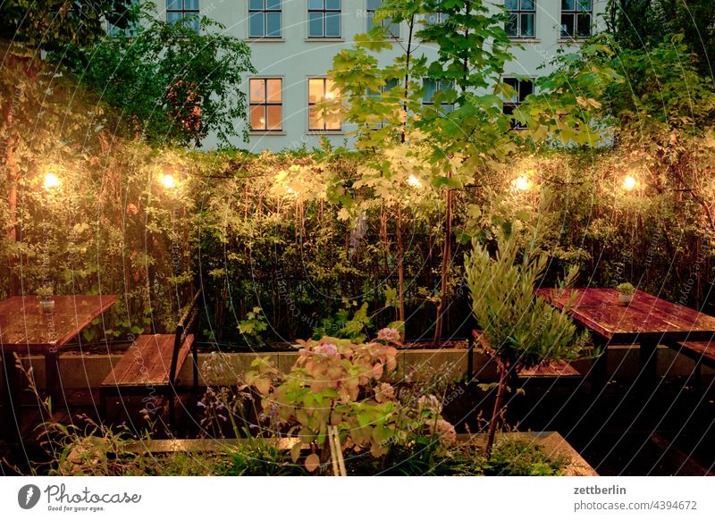 Gastronomy without guests Evening Bench Lighting Berlin Beer garden free seating gastronome Green Roadhouse Empty Lichtenberg Deserted Night Park Plant Seat
