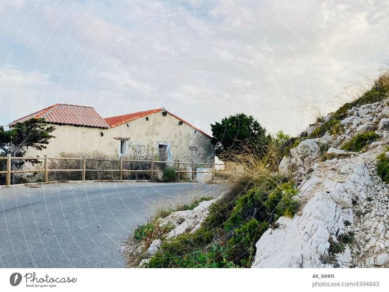 house on the road rock Street Stone pine Tree Curve Nature Deserted Exterior shot Colour photo Plant Summer Sunlight Vacation & Travel Landscape Environment