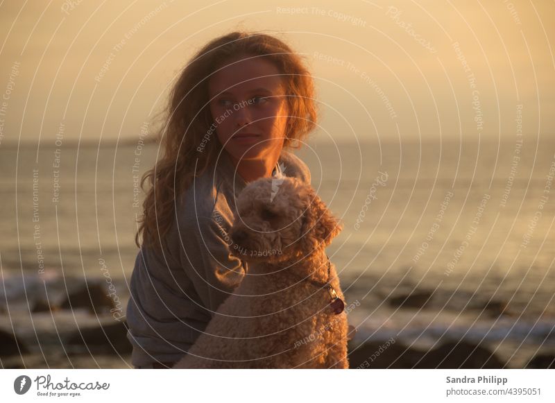 Girl with dog sitting on the beach looking in the same direction Dog Water Beach Sunset Sand coast Exterior shot Nature Animal Evening Light Vacation & Travel