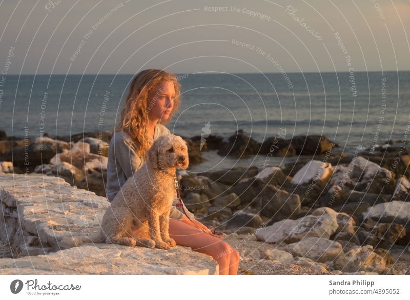 a girl and a dog sitting on the beach watching the sunset Girl Dog Beach Water Sunset Dreamily Dusk Evening Sky coast Nature Landscape Light Sand