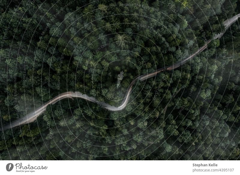 Winding curvy road inside a forest from a top down view of a drone at a foggy evening with a car backlight. moody landscape aerial tree nature mist scenery