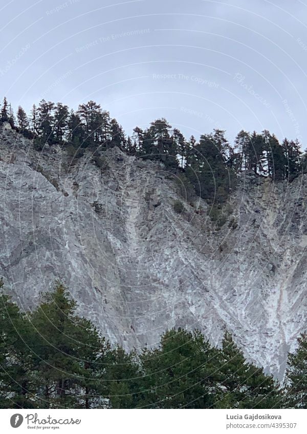 Rocky walls of the Ruinaulta ravine or gorge in Switzerland. Photo from the bottom of the ravine exposing their texture. Some coniferous trees are on the top of the rock and under it as well.