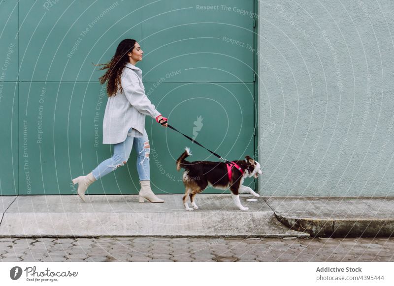 Woman running with dog along street woman having fun activity together border collie city stroll female pet animal canine owner leash companion friend puppy