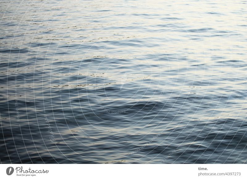 damp & wavy Water Baltic Sea Ocean Waves reflection Back-light Surface Wet Damp Maritime Sea State element Swell Undulating tranquillity Calm meditative